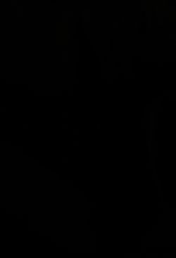 Looking for cdg converse