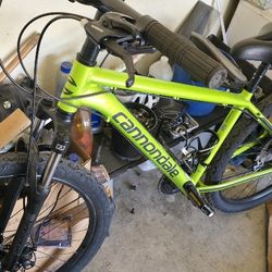 Cannondale Catalyst 3