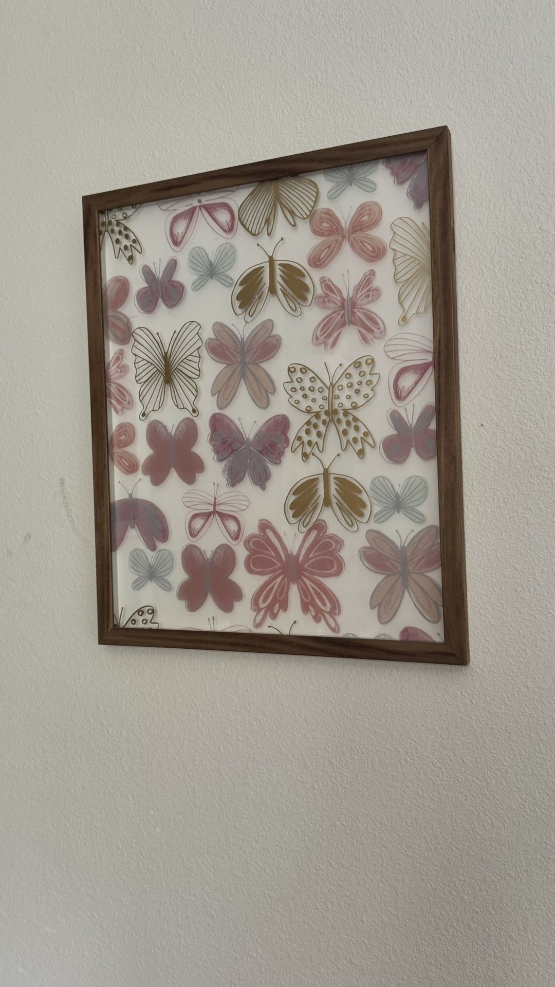 Butterfly Picture