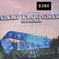 Camp Flog Gnaw GA 