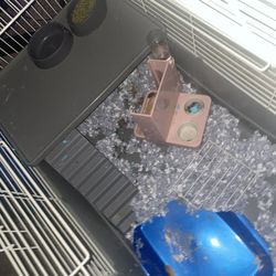 Large Bunny/small Animal Cage And playpen 