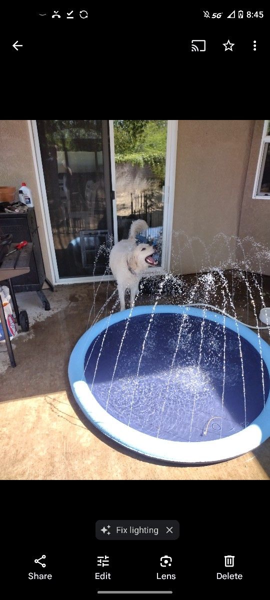 Wading Pool For Dogs Or Kids