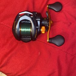 Lews Bait Caster 