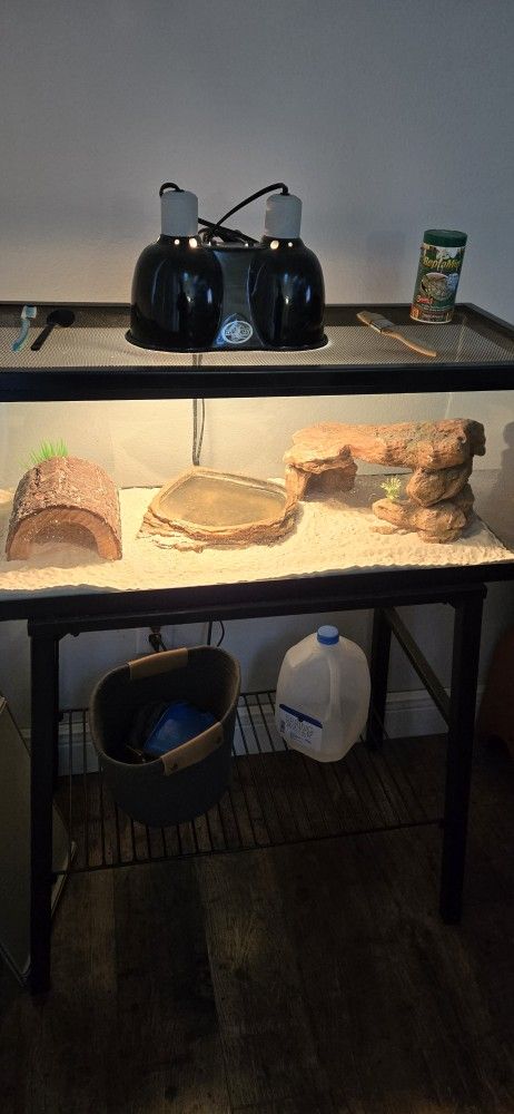 Turtle Aquarium