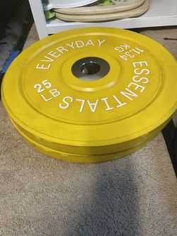25lb pair bumper plates