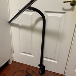 Eppiebasic LED Desk Lamp Older Model Good Quality And Price 