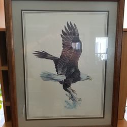 Eagle Picture