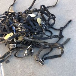 Llama Harnesses 22ea Total 