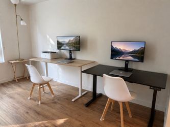 Moving Sale – Standing Desks & Ultrawide Monitor | Fremont