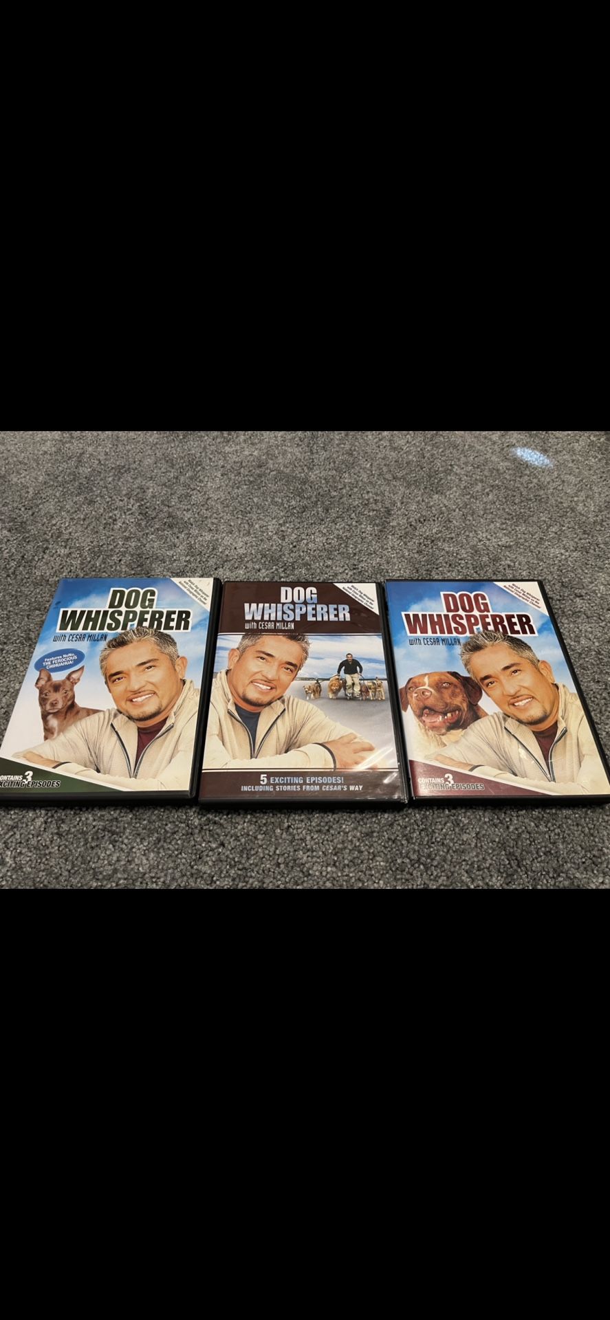 Dog Whisperer DVDs 
