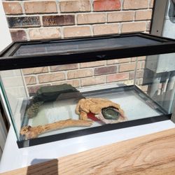 Reptile Tank or Hermit Crab Home