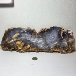 High Quality Blue Opalized Agate "Blue Petrified Wood"