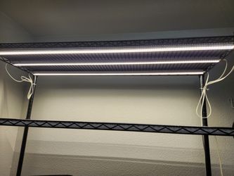 Barrina LED 4' Grow Lights