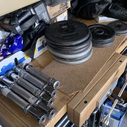 Pro Style Dumbbells