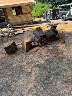 Free firewood