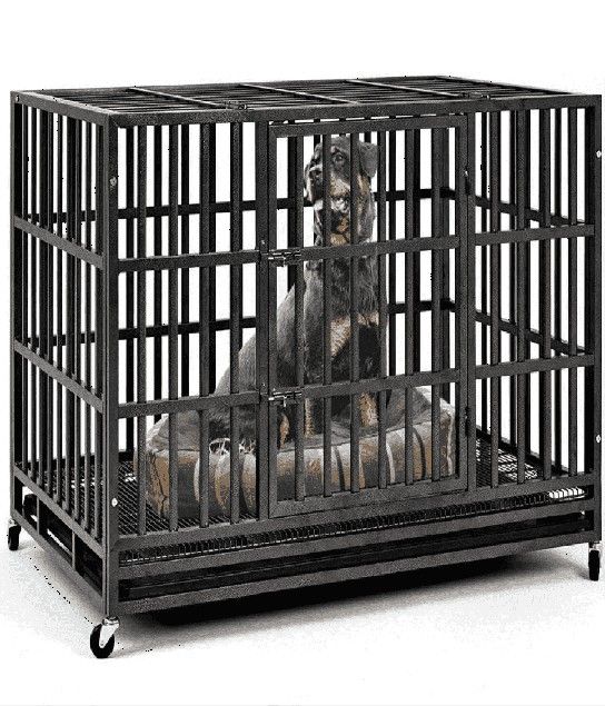 short church Heavy-Duty Pet Cages - Security and Comfort for Your Animal Buddy