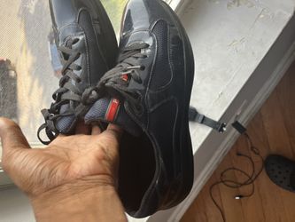 Prada Cup Sneakers