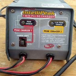 RC Charger 