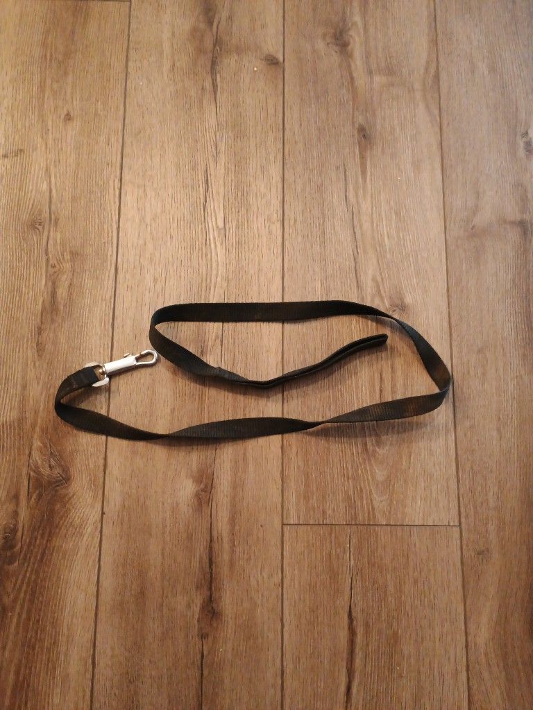Animal Leash