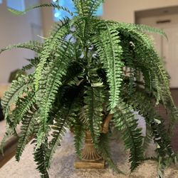 Plant Arrangement With Planter