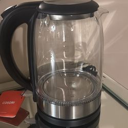 Electric tea kettle