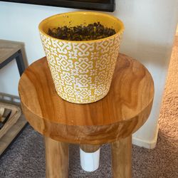 Cute Pot