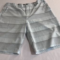 Preowned Men’s Hurley Shorts Size 34