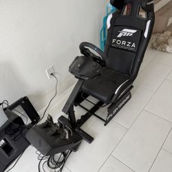 PlayStation Racing Simulator 