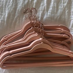 20 Pink Velvet Hangers