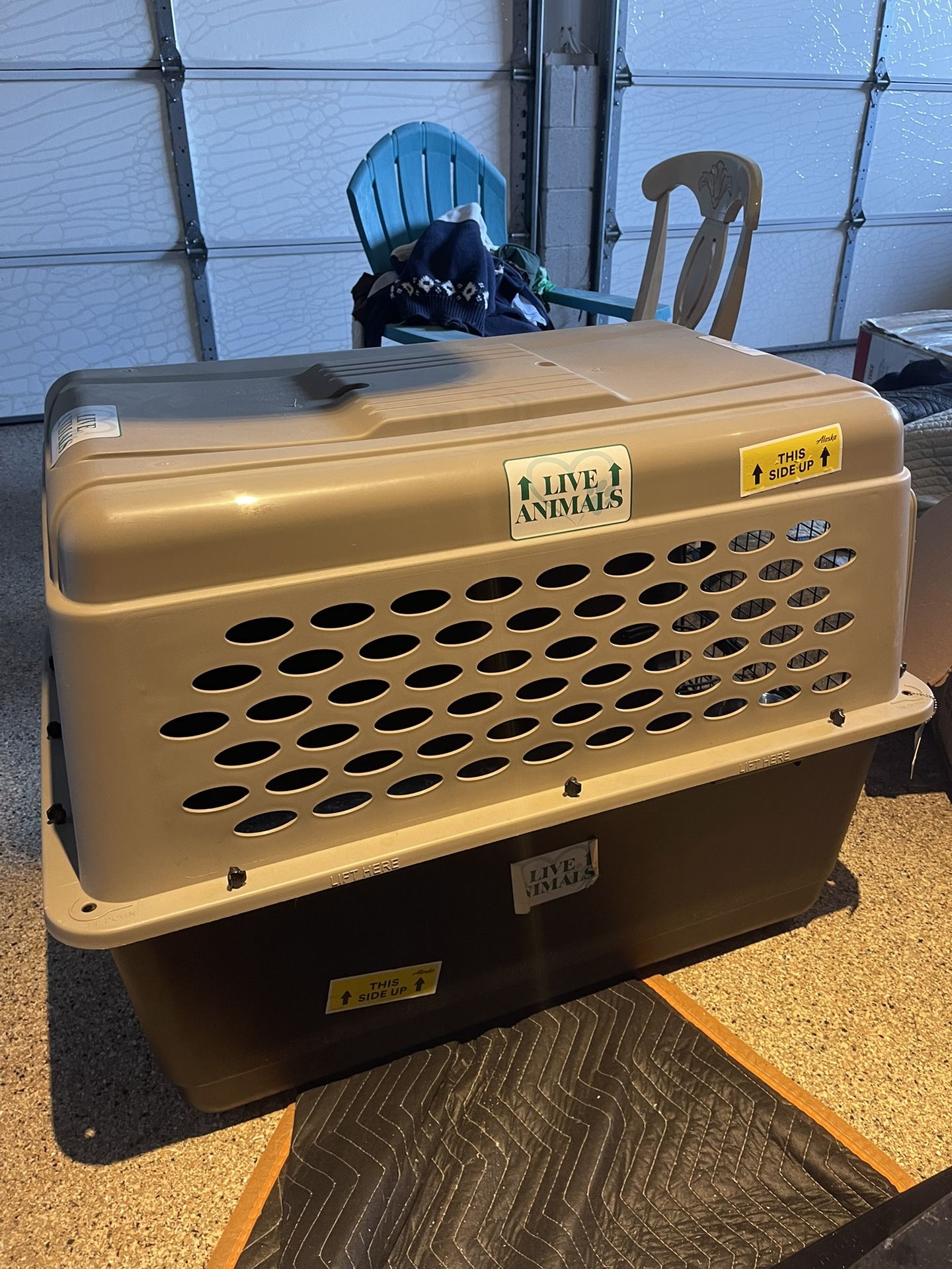 XL Dog crate/ Animal transport