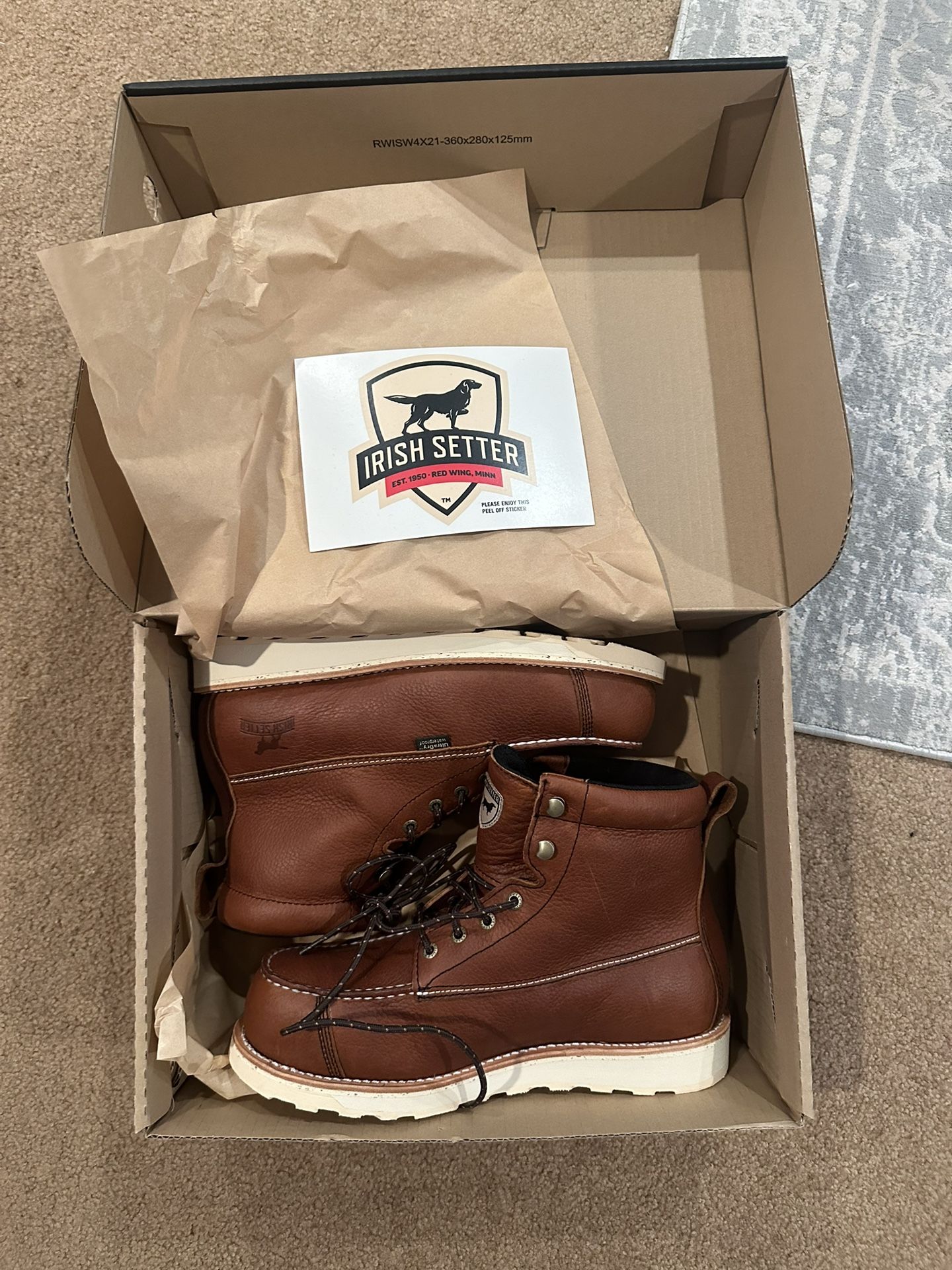 Irish Setter 9.5