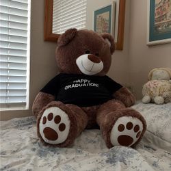Graduation Teddy Bear