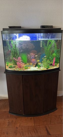 Bow Front Aquarium Tank with Stand