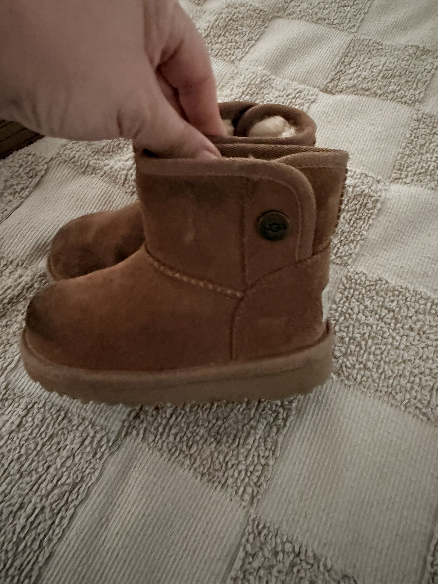 Toddler Uggs 