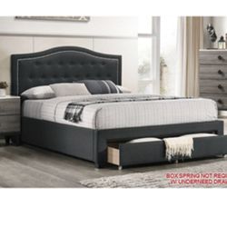Modern Queen Size Platform Bed with Storage Drawer. Mattress Sold Separately 