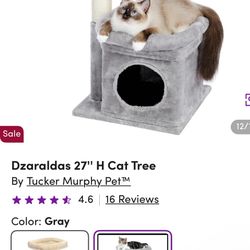 Cat Tree Cubby 