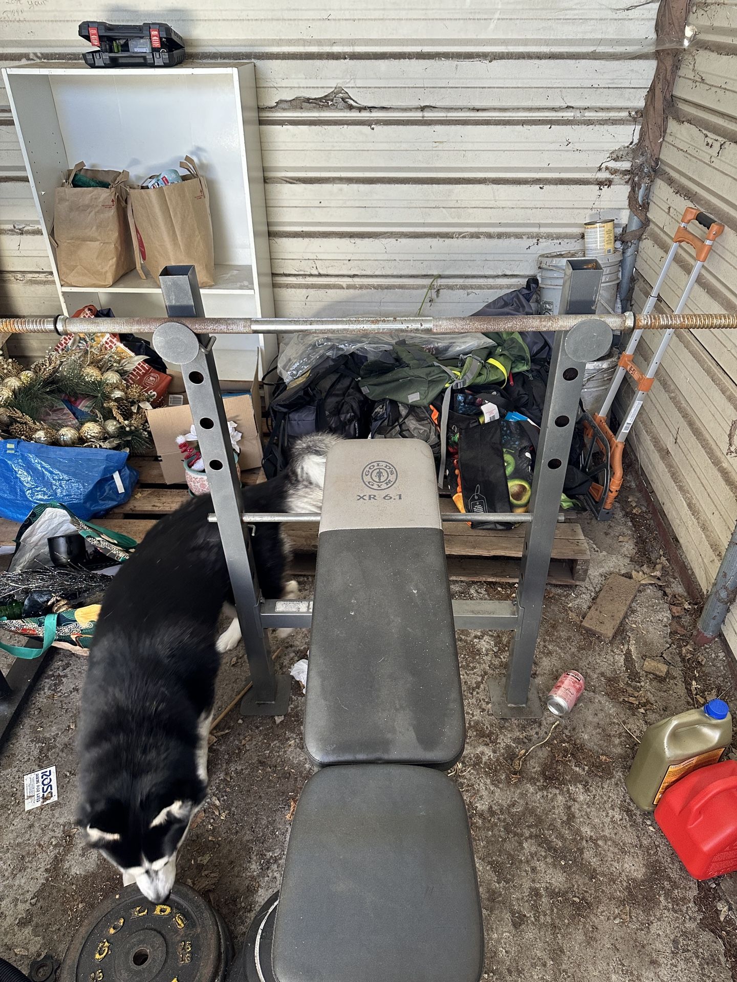 Weight Bench