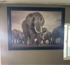 Elephant Wall Art (picture frame)