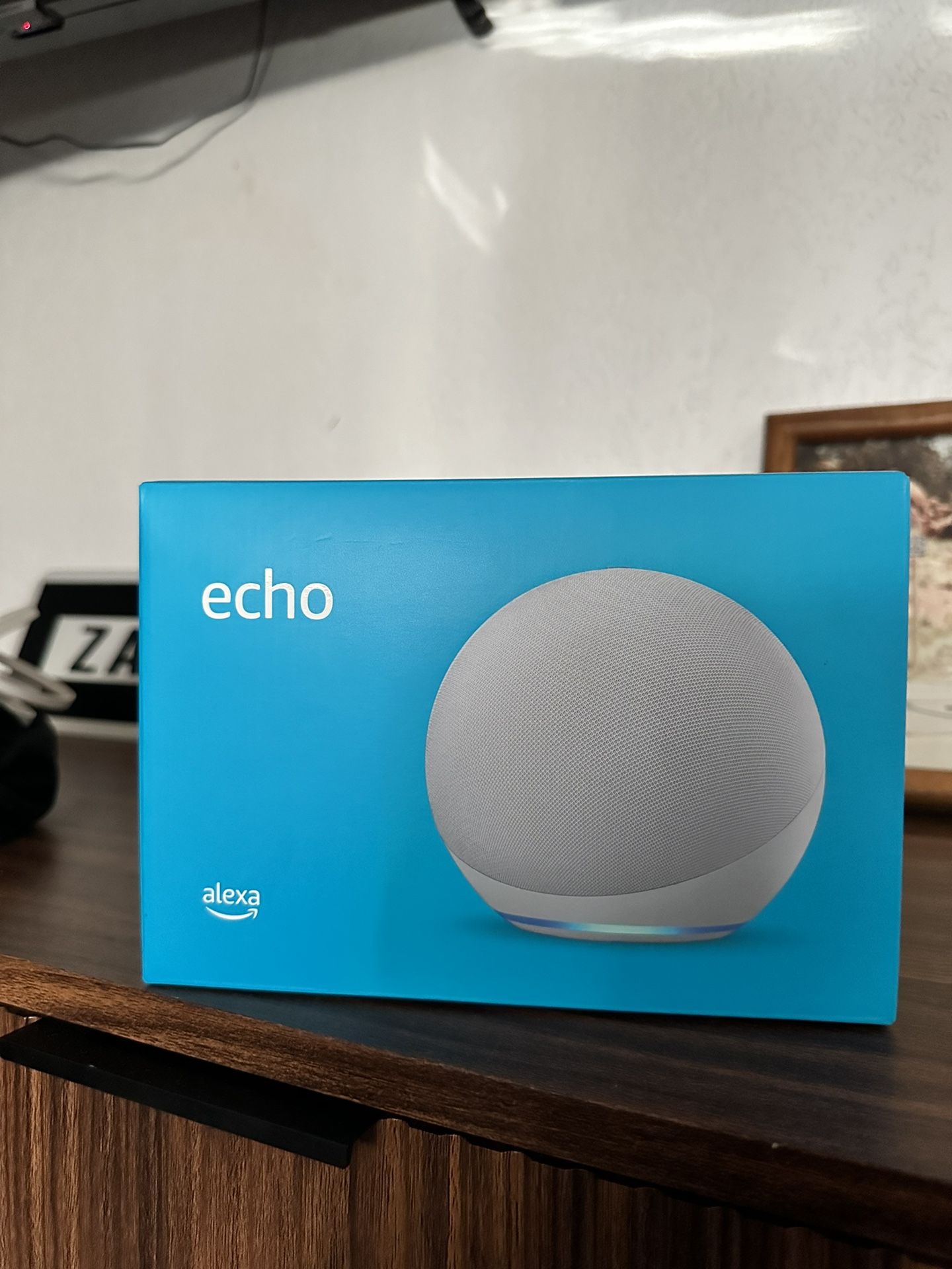 Alexa Echo