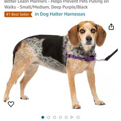 No-Pull Dog Harness (PetSafe Easy Walk)