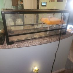 20 G Aquarium With Heat Plate