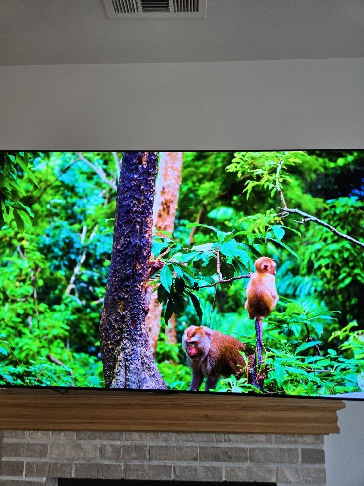 LG C3 OLED 65" (Like-new)
