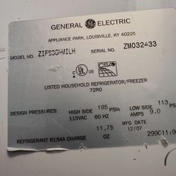 Found Small White Dog