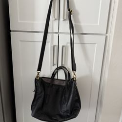 Fossil purse & Wallet 