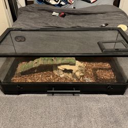 Reptile Enclosure 