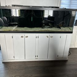 Aquarium Fish Tank 125 Gallons Complete Set Up