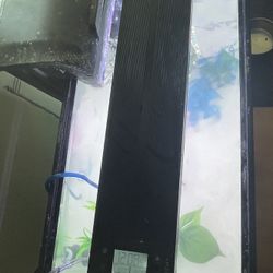 10 Gallon Complete Aquarium 