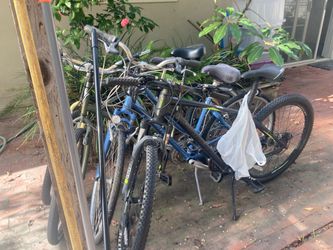 Lot of Used Bikes