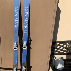 Snow Skis