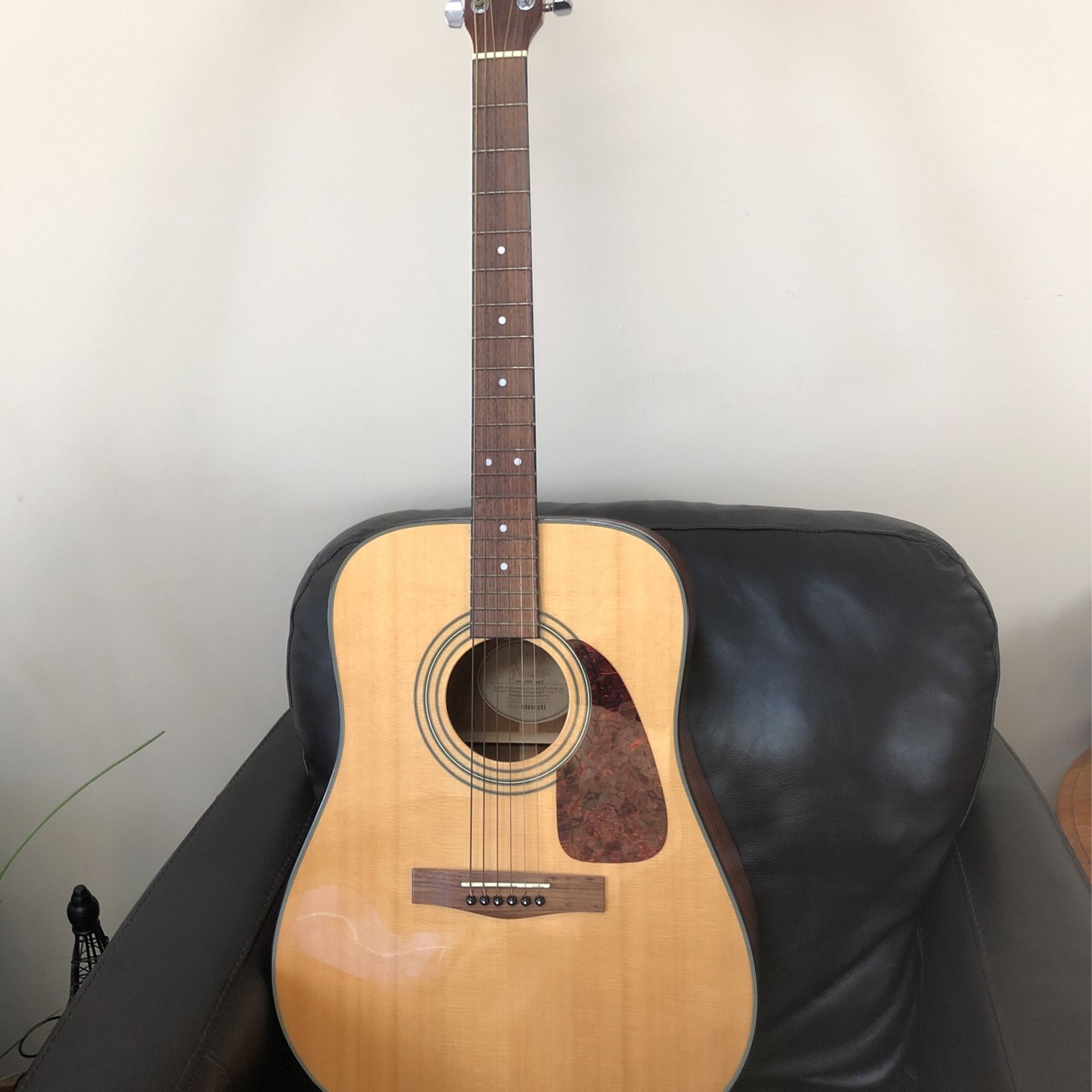 Fender Guitar  DG-20S-NAT